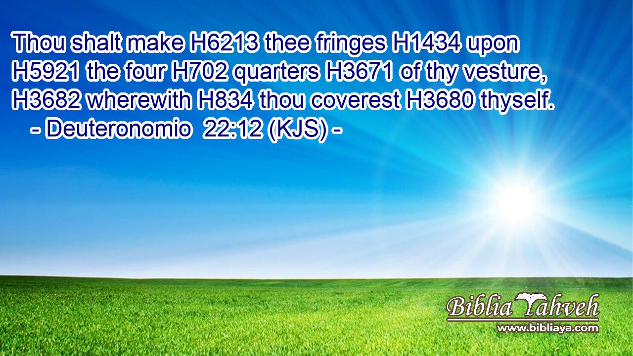 Thou shalt make H6213 thee fringes H1434 upon H5921 the four H702 quarters H3671 of thy vesture, H3682 wherewith H834 thou coverest H3680 thyself.