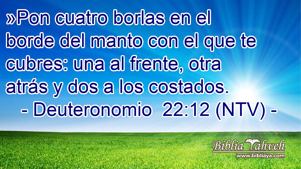 »Pon cuatro borlas en el borde del manto con el que te cubres: una al frente, otra atrás y dos a los costados.