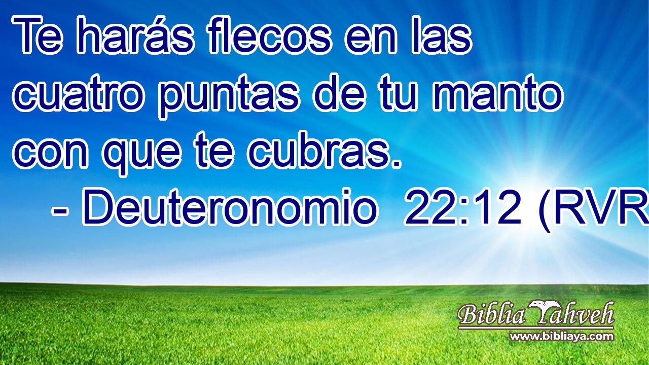 Te harás flecos en las cuatro puntas de tu manto con que te cubras.