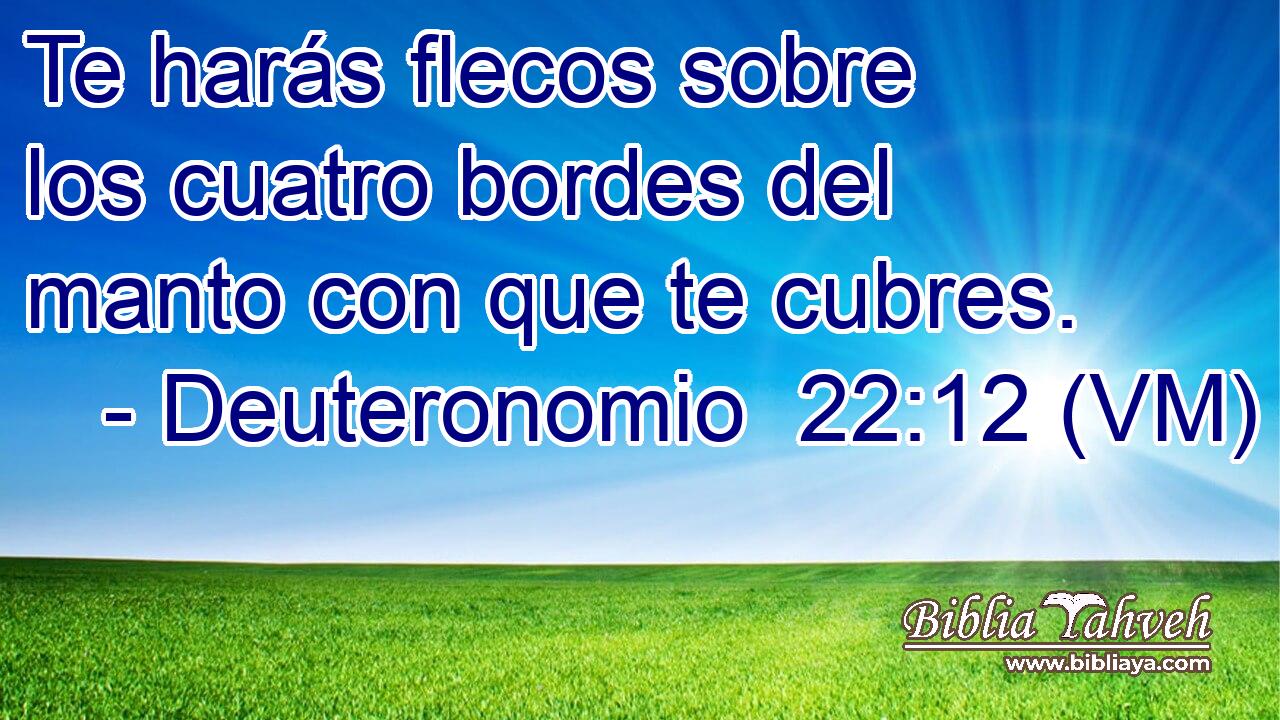  Te harás flecos sobre los cuatro bordes del manto con que te cubres. 