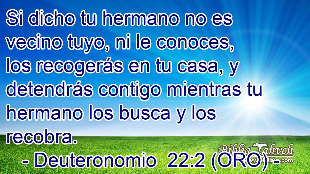  Si dicho tu hermano no es vecino tuyo, ni le conoces, los recogerás en tu casa, y detendrás contigo mientras tu hermano los busca y los recobra. 