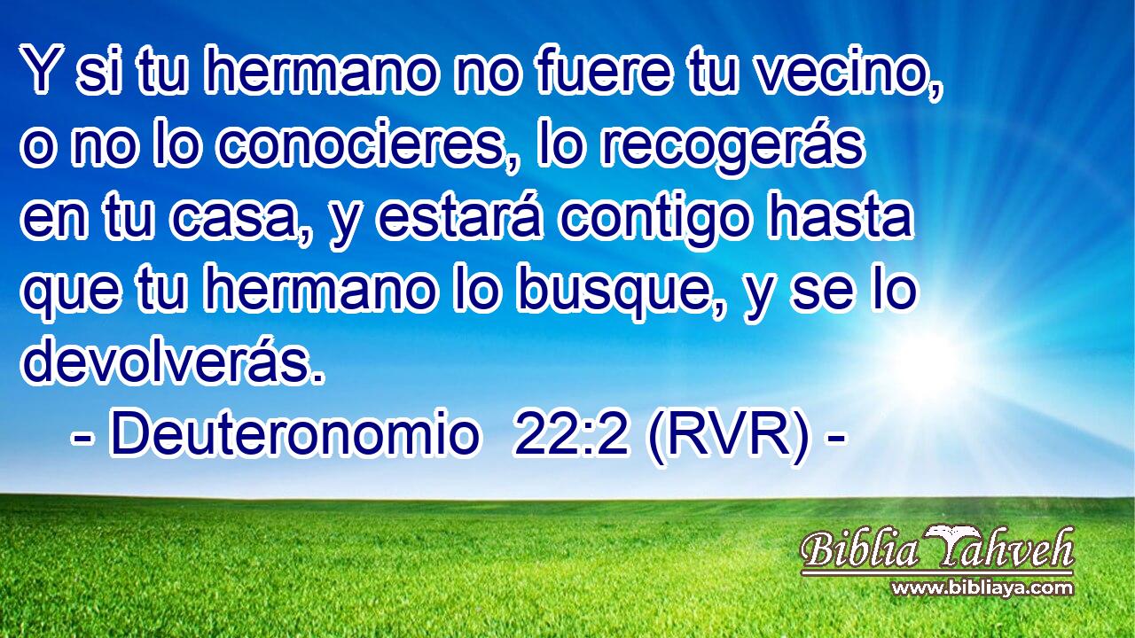 Y si tu hermano no fuere tu vecino, o no lo conocieres, lo recogerás en tu casa, y estará contigo hasta que tu hermano lo busque, y se lo devolverás.