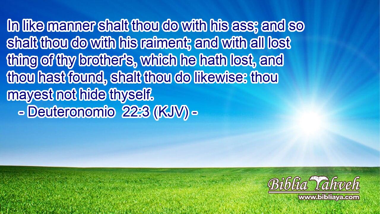 In like manner shalt thou do with his ass; and so shalt thou do with his raiment; and with all lost thing of thy brother's, which he hath lost, and thou hast found, shalt thou do likewise: thou mayest not hide thyself.