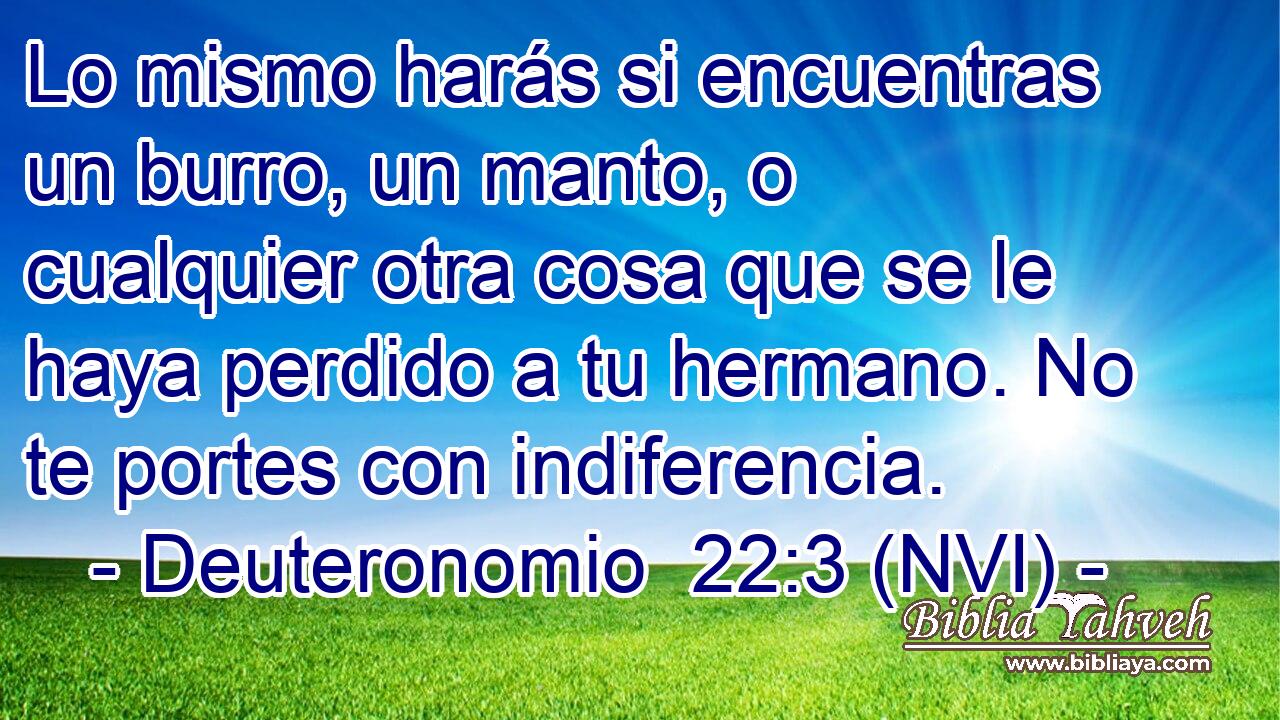  Lo mismo harás si encuentras un burro, un manto, o cualquier otra cosa que se le haya perdido a tu hermano. No te portes con indiferencia. 