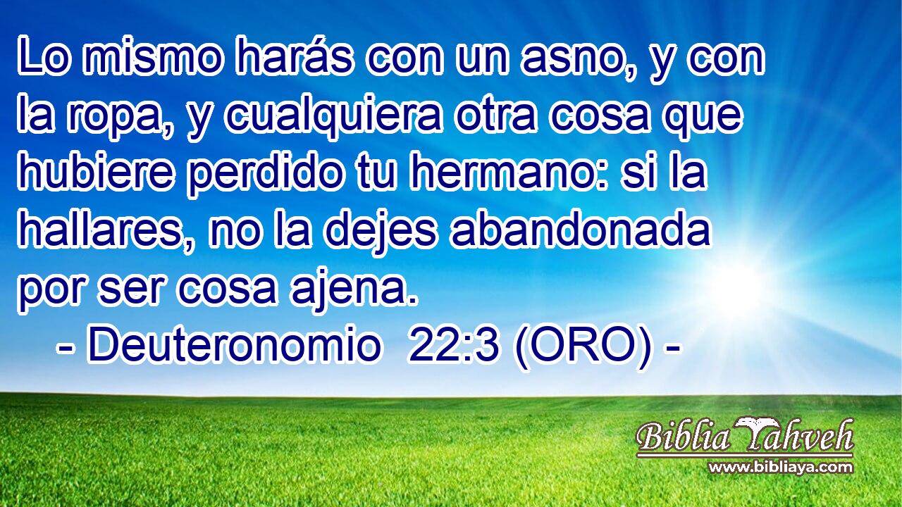  Lo mismo harás con un asno, y con la ropa, y cualquiera otra cosa que hubiere perdido tu hermano: si la hallares, no la dejes abandonada por ser cosa ajena. 