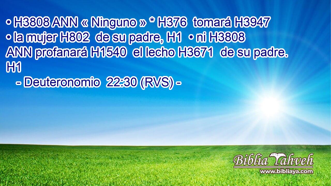 • H3808 ANN « Ninguno » * H376  tomará H3947  • la mujer H802  de su padre, H1  • ni H3808 ANN profanará H1540  el lecho H3671  de su padre. H1  