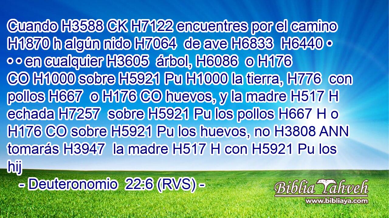 Cuando H3588 CK H7122 encuentres por el camino H1870 h algún nido H7064  de ave H6833  H6440 • • • en cualquier H3605  árbol, H6086  o H176 CO H1000 sobre H5921 Pu H1000 la tierra, H776  con pollos H667  o H176 CO huevos, y la madre H517 H echada H7257  sobre H5921 Pu los pollos H667 H o H176 CO sobre H5921 Pu los huevos, no H3808 ANN tomarás H3947  la madre H517 H con H5921 Pu los hij