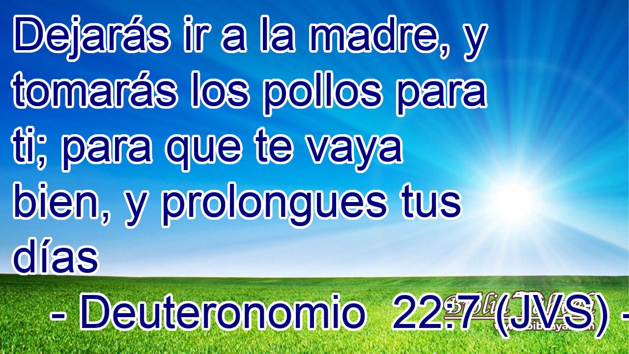 Dejarás ir a la madre, y tomarás los pollos para ti; para que te vaya bien, y prolongues tus días