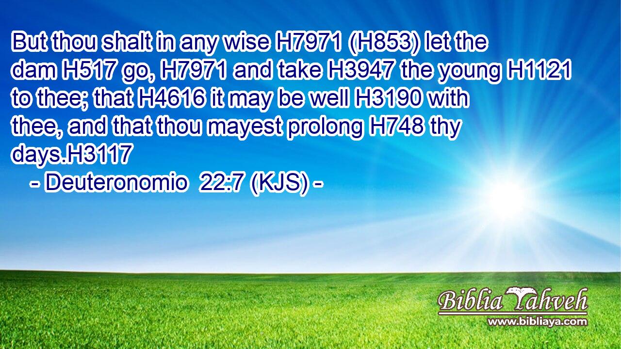 But thou shalt in any wise H7971 (H853) let the dam H517 go, H7971 and take H3947 the young H1121 to thee; that H4616 it may be well H3190 with thee, and that thou mayest prolong H748 thy days.H3117