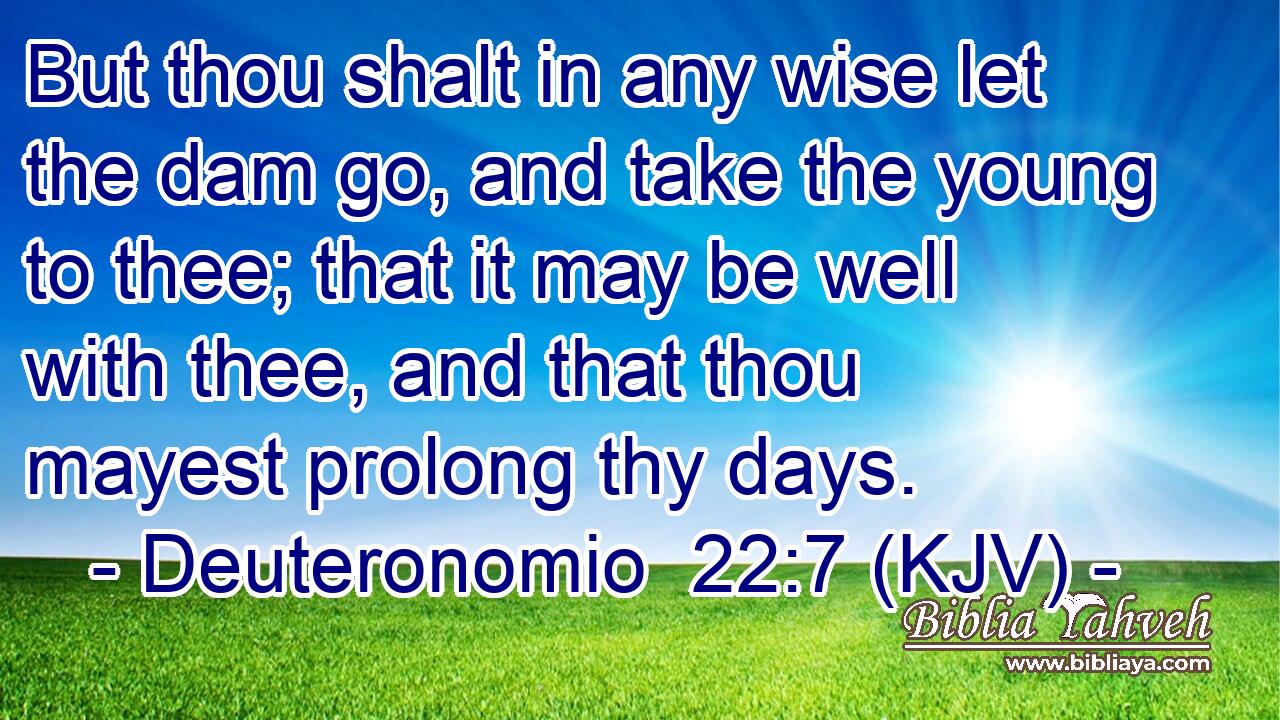 But thou shalt in any wise let the dam go, and take the young to thee; that it may be well with thee, and that thou mayest prolong thy days.