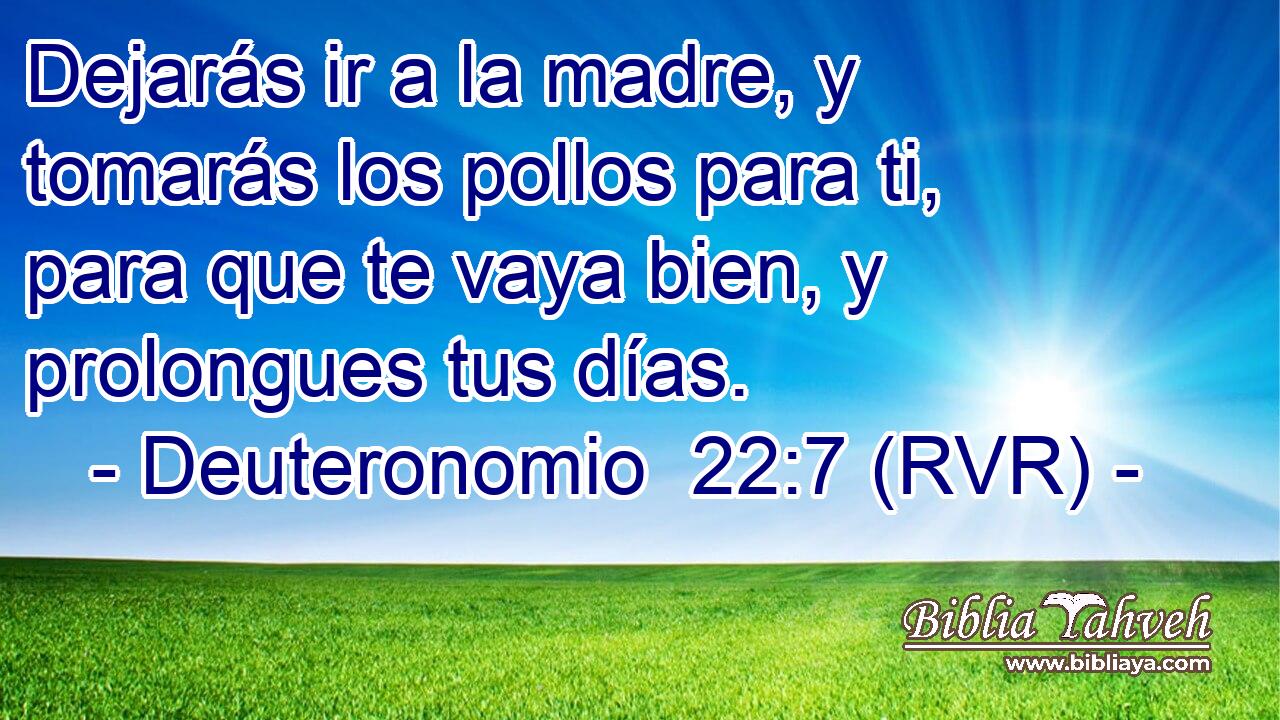 Dejarás ir a la madre, y tomarás los pollos para ti, para que te vaya bien, y prolongues tus días.