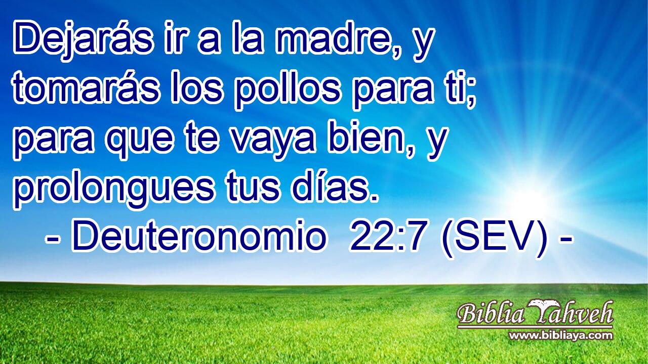 Dejarás ir a la madre, y tomarás los pollos para ti; para que te vaya bien, y prolongues tus días.