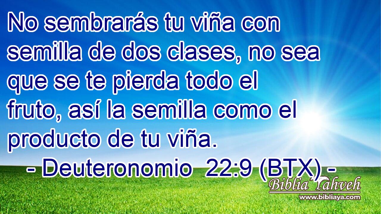 No sembrarás tu viña con semilla de dos clases, no sea que se te pierda todo el fruto, así la semilla como el producto de tu viña.