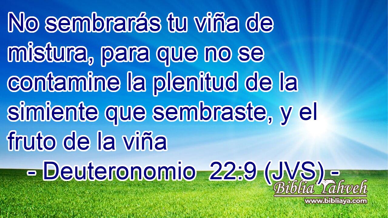 No sembrarás tu viña de mistura, para que no se contamine la plenitud de la simiente que sembraste, y el fruto de la viña