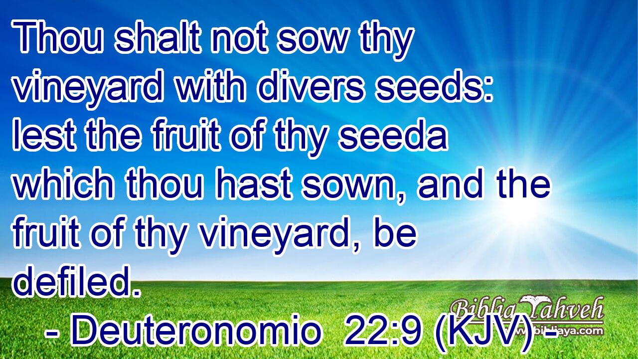 Thou shalt not sow thy vineyard with divers seeds: lest the fruit of thy seeda which thou hast sown, and the fruit of thy vineyard, be defiled.
