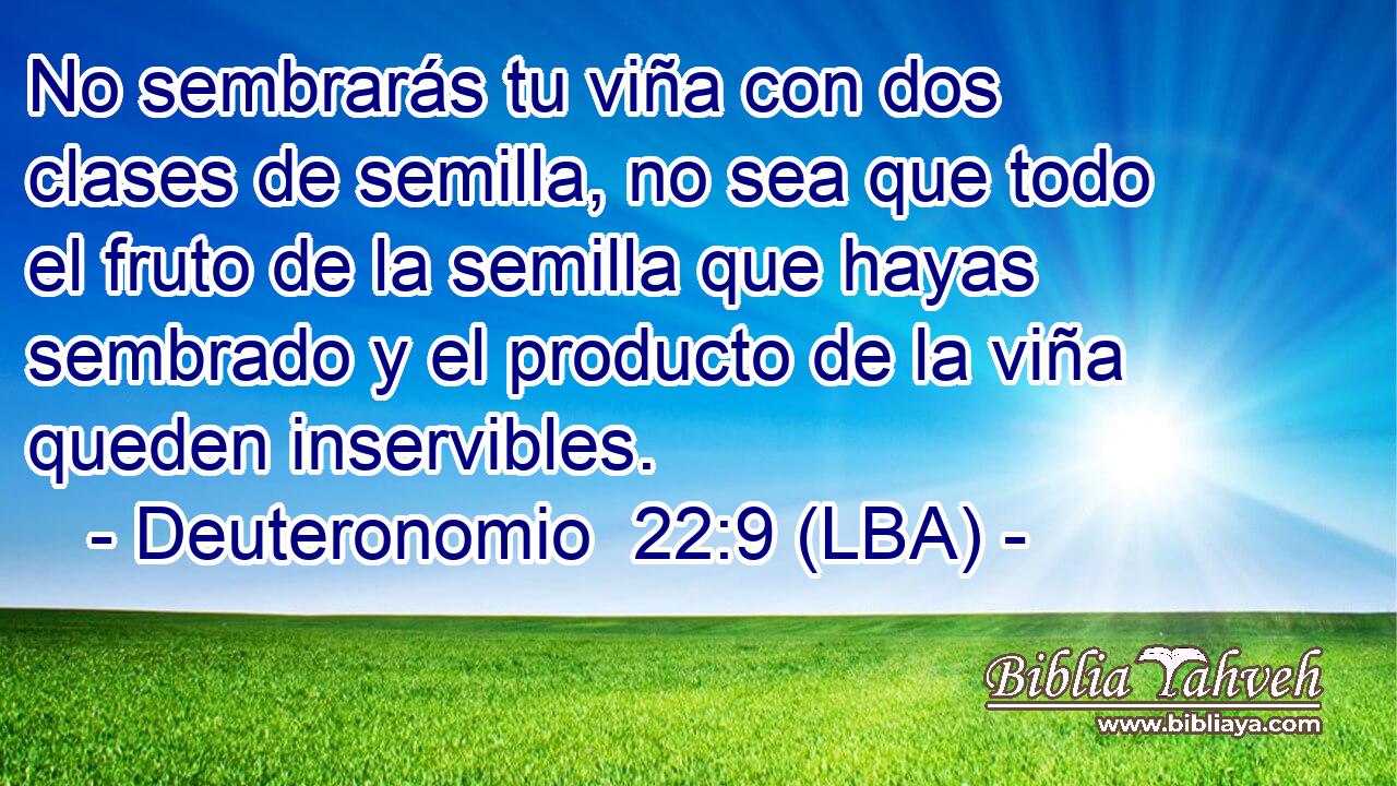 No sembrarás tu viña con dos clases de semilla, no sea que todo el fruto de la semilla que hayas sembrado y el producto de la viña queden inservibles.