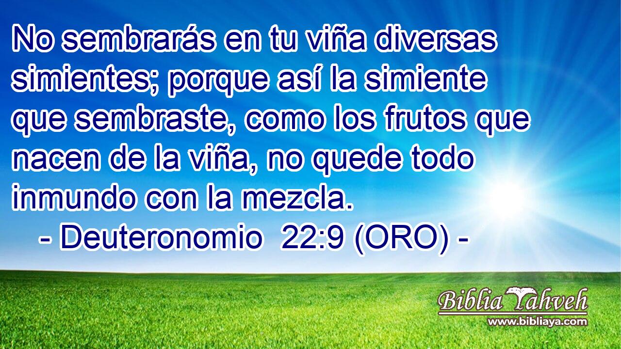  No sembrarás en tu viña diversas simientes; porque así la simiente que sembraste, como los frutos que nacen de la viña, no quede todo inmundo con la mezcla. 