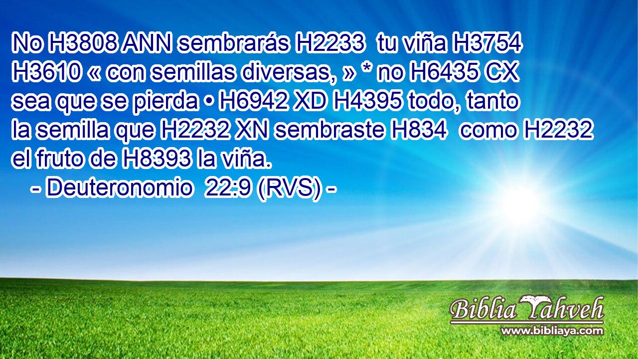 No H3808 ANN sembrarás H2233  tu viña H3754  H3610 « con semillas diversas, » * no H6435 CX sea que se pierda • H6942 XD H4395 todo, tanto la semilla que H2232 XN sembraste H834  como H2232 el fruto de H8393 la viña. 