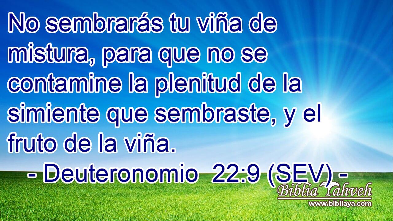 No sembrarás tu viña de mistura, para que no se contamine la plenitud de la simiente que sembraste, y el fruto de la viña.