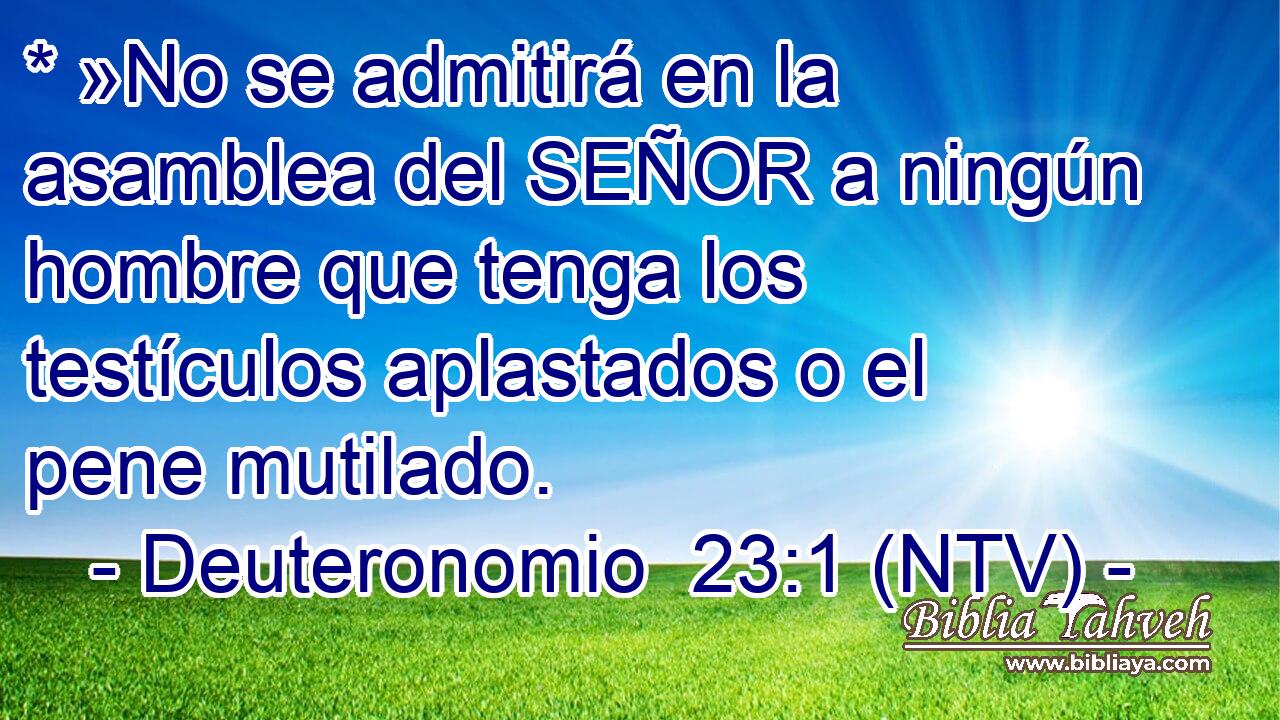 * »No se admitirá en la asamblea del SEÑOR a ningún hombre que tenga los testículos aplastados o el pene mutilado.