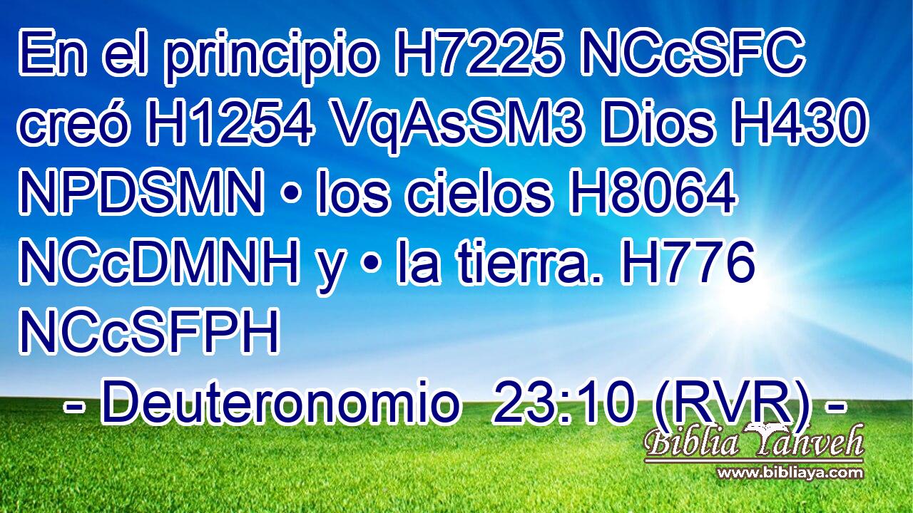 En el principio H7225 NCcSFC creó H1254 VqAsSM3 Dios H430 NPDSMN • los cielos H8064 NCcDMNH y • la tierra. H776 NCcSFPH 