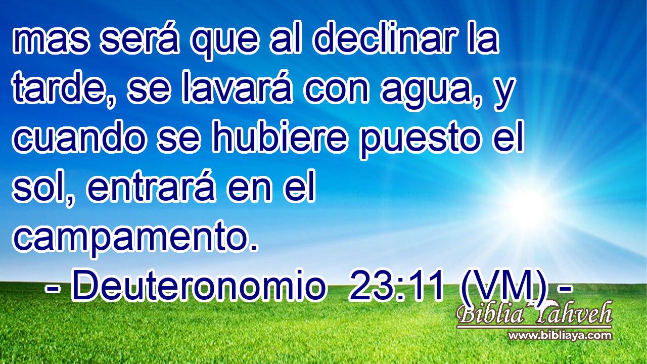  mas será que al declinar la tarde, se lavará con agua, y cuando se hubiere puesto el sol, entrará en el campamento. 