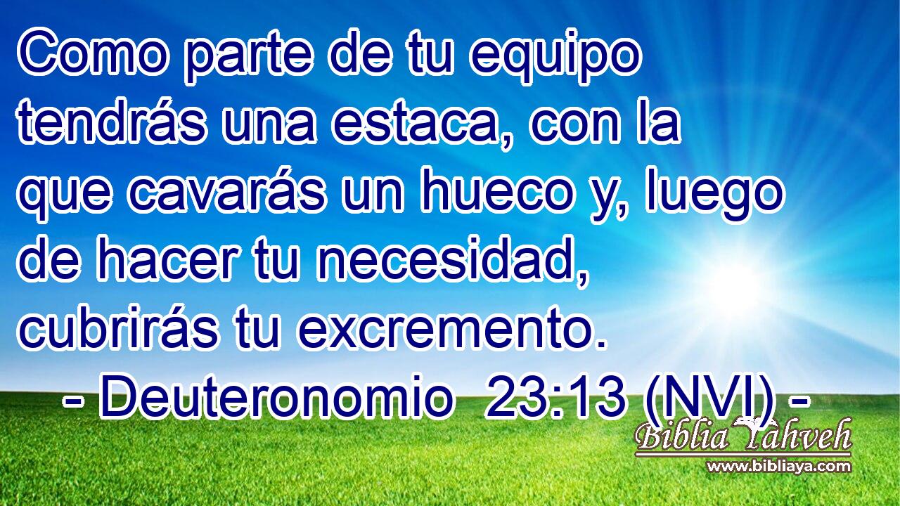  Como parte de tu equipo tendrás una estaca, con la que cavarás un hueco y, luego de hacer tu necesidad, cubrirás tu excremento. 