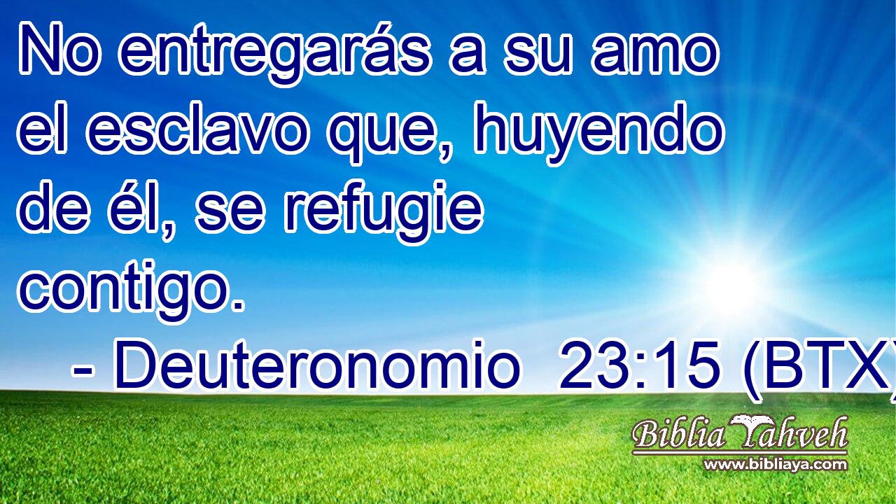 No entregarás a su amo el esclavo que, huyendo de él, se refugie contigo.