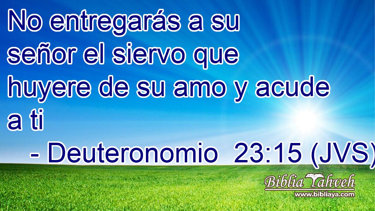 No entregarás a su señor el siervo que huyere de su amo y acude a ti