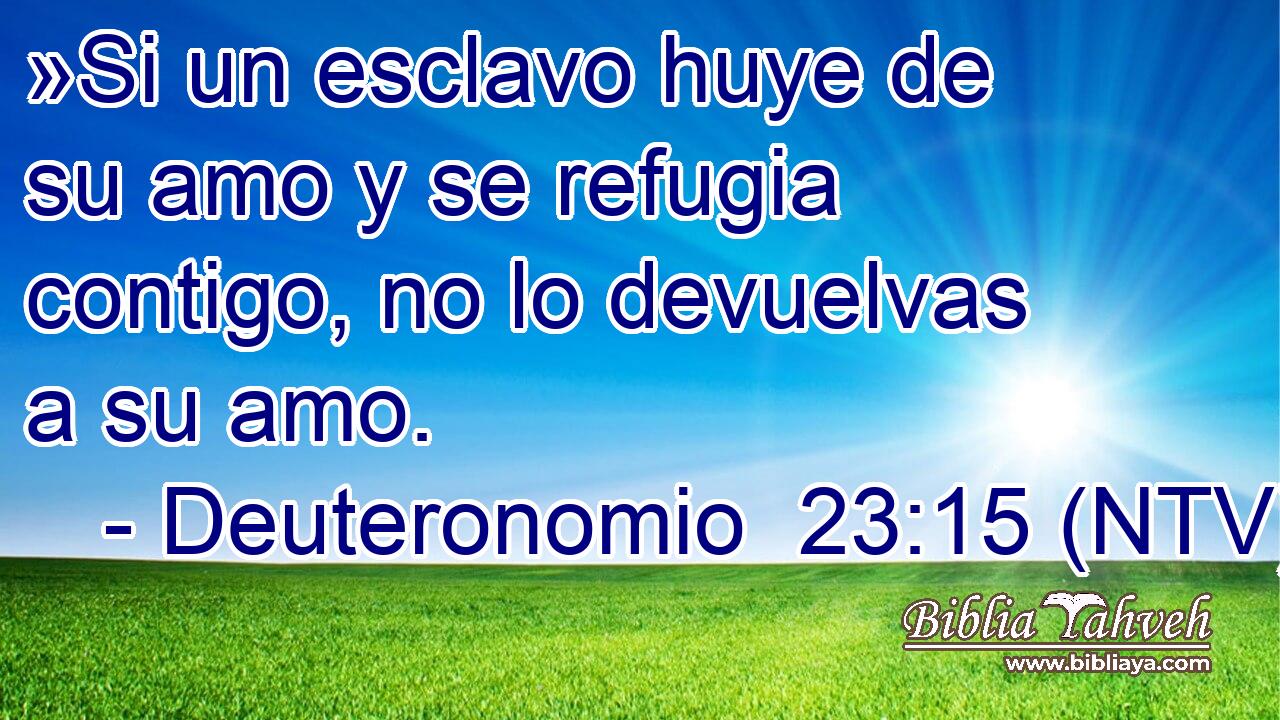»Si un esclavo huye de su amo y se refugia contigo, no lo devuelvas a su amo.