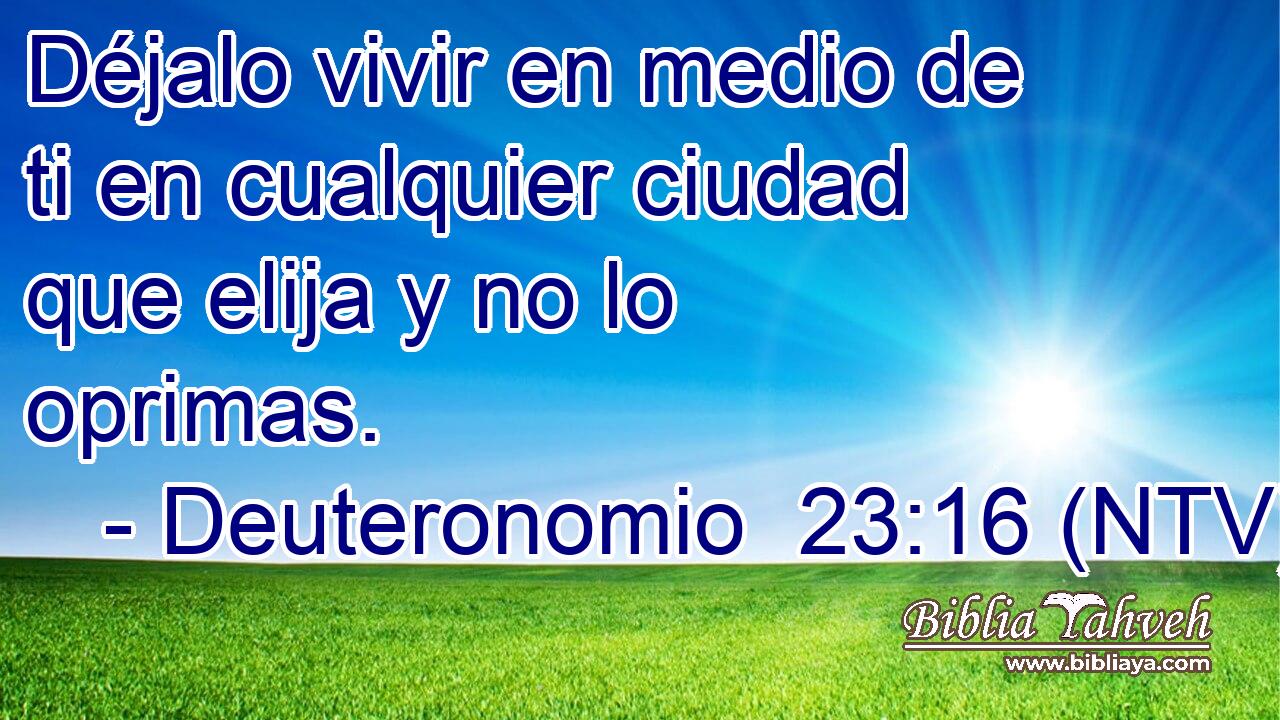 Déjalo vivir en medio de ti en cualquier ciudad que elija y no lo oprimas.