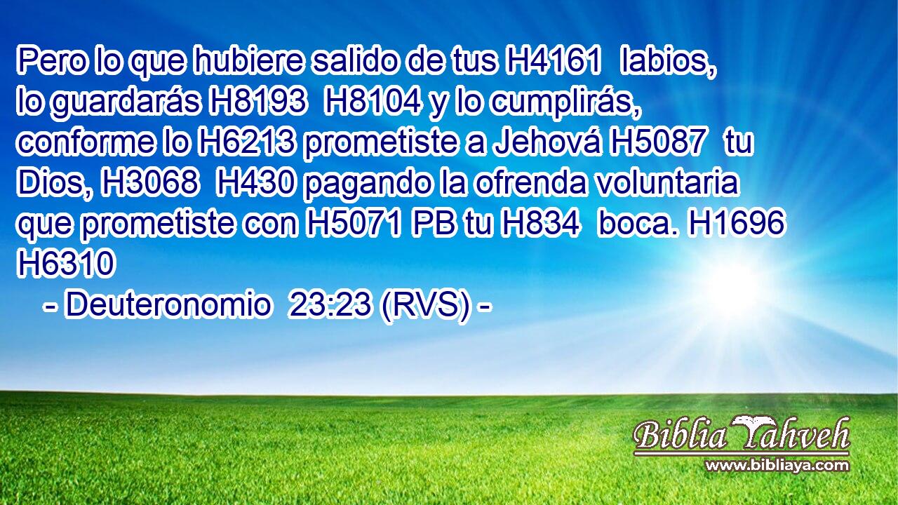 Pero lo que hubiere salido de tus H4161  labios, lo guardarás H8193  H8104 y lo cumplirás, conforme lo H6213 prometiste a Jehová H5087  tu Dios, H3068  H430 pagando la ofrenda voluntaria que prometiste con H5071 PB tu H834  boca. H1696  H6310 