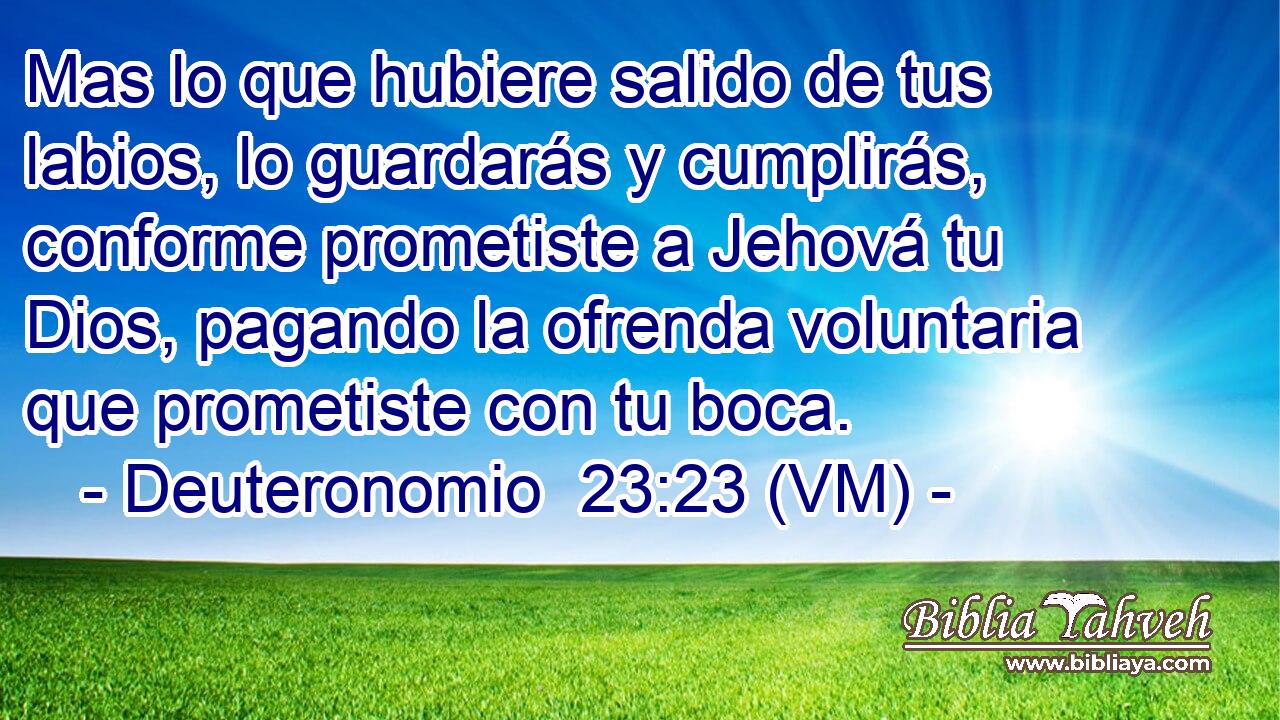  Mas lo que hubiere salido de tus labios, lo guardarás y cumplirás, conforme prometiste a Jehová tu Dios, pagando la ofrenda voluntaria que prometiste con tu boca. 