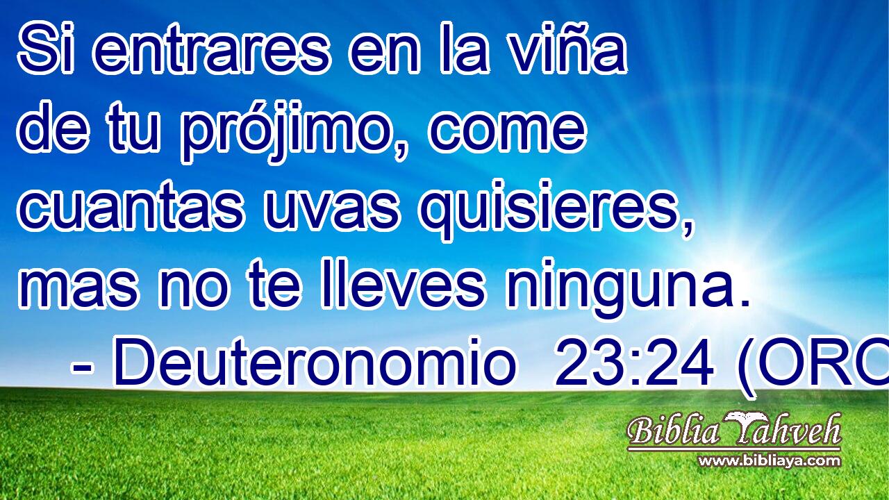  Si entrares en la viña de tu prójimo, come cuantas uvas quisieres, mas no te lleves ninguna. 