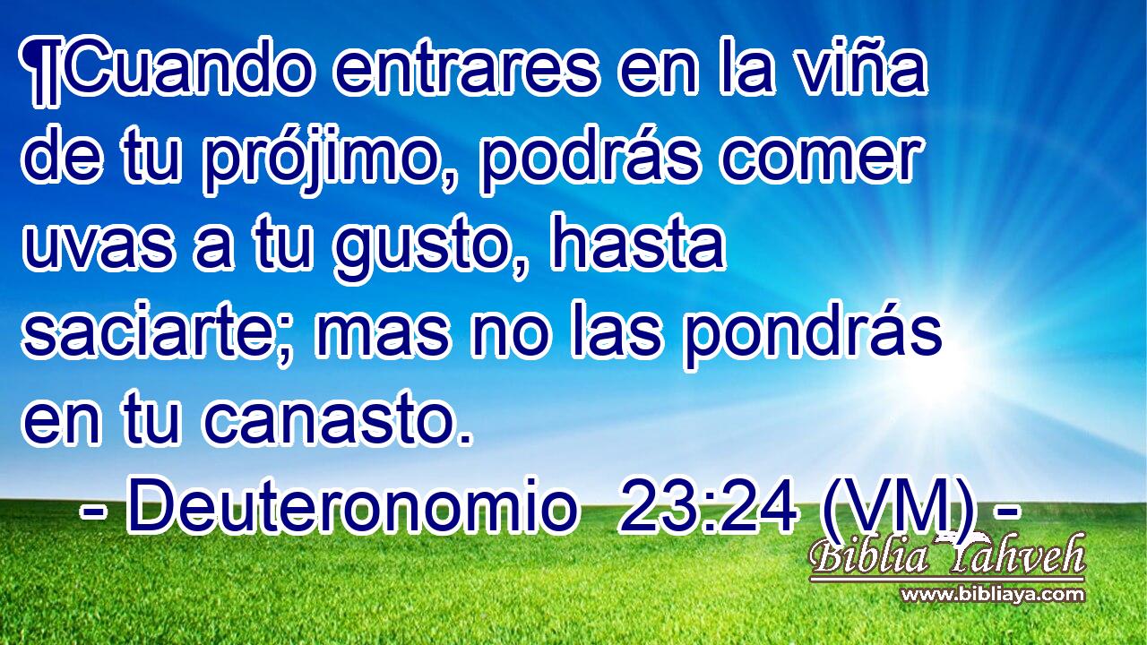  ¶Cuando entrares en la viña de tu prójimo, podrás comer uvas a tu gusto, hasta saciarte; mas no las pondrás en tu canasto. 