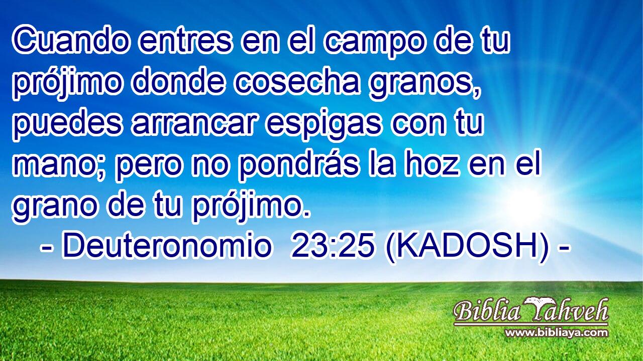  Cuando entres en el campo de tu prójimo donde cosecha granos, puedes arrancar espigas con tu mano; pero no pondrás la hoz en el grano de tu prójimo. 