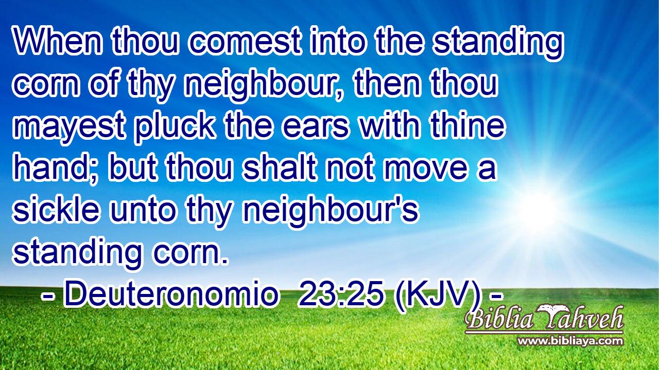 When thou comest into the standing corn of thy neighbour, then thou mayest pluck the ears with thine hand; but thou shalt not move a sickle unto thy neighbour's standing corn.