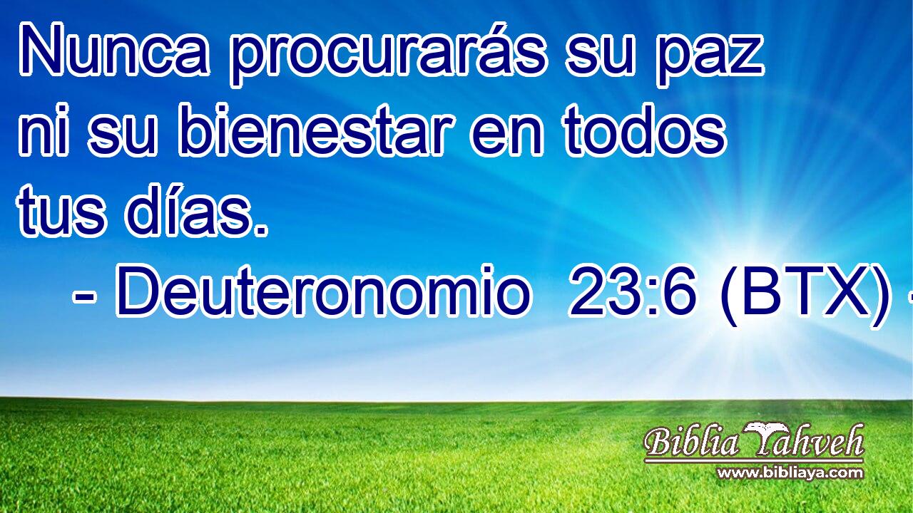 Nunca procurarás su paz ni su bienestar en todos tus días.
