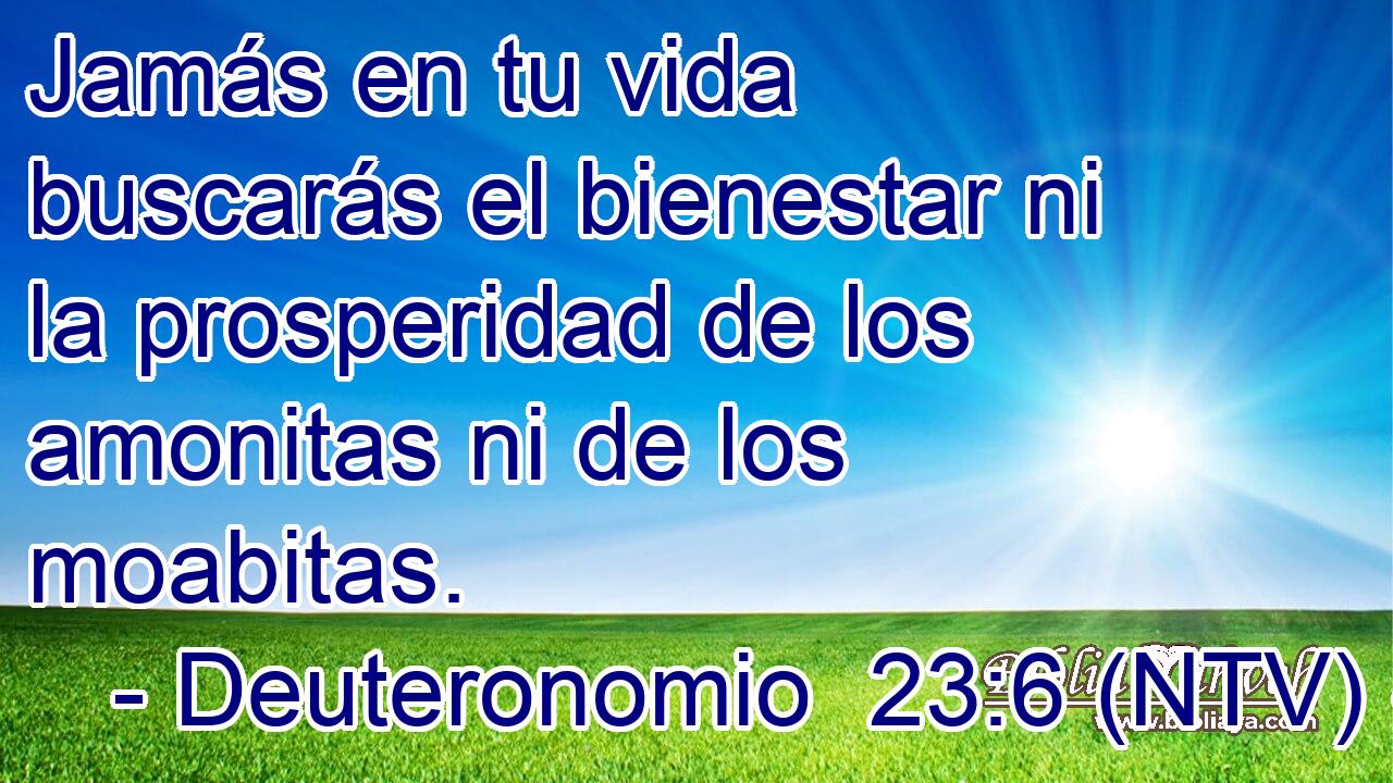 Jamás en tu vida buscarás el bienestar ni la prosperidad de los amonitas ni de los moabitas.