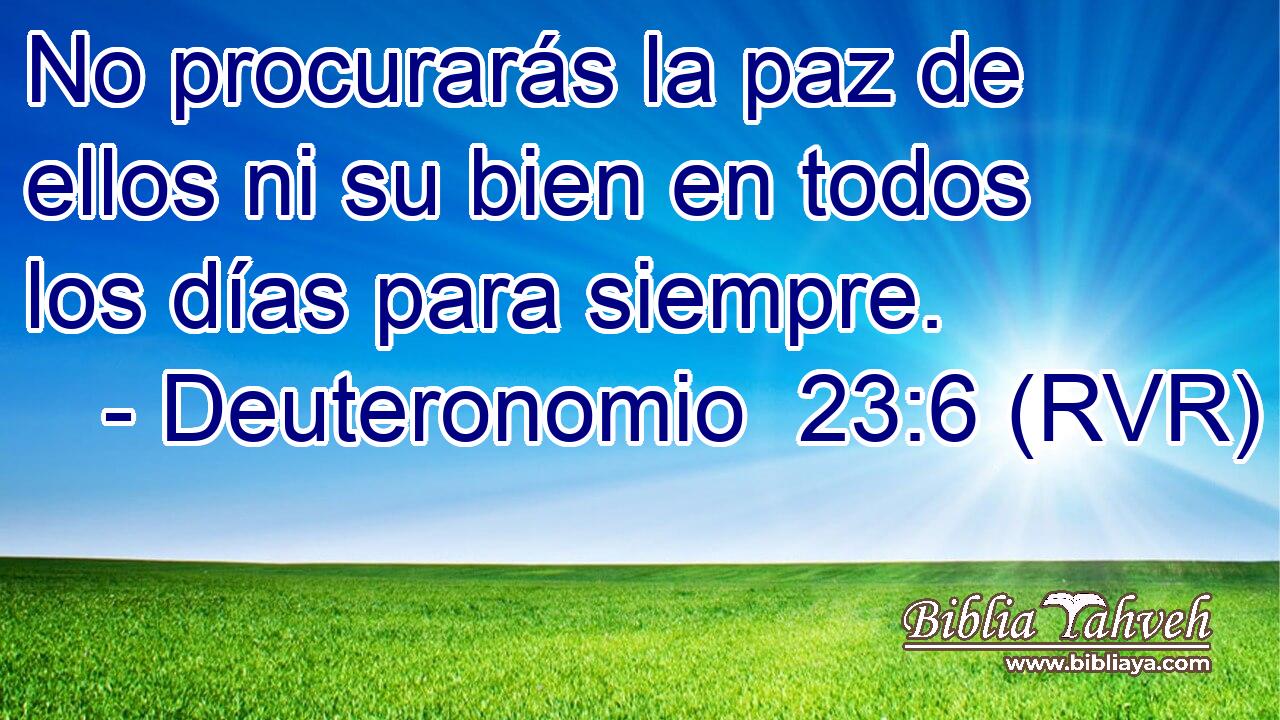 No procurarás la paz de ellos ni su bien en todos los días para siempre.