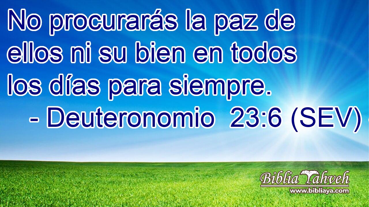No procurarás la paz de ellos ni su bien en todos los días para siempre.