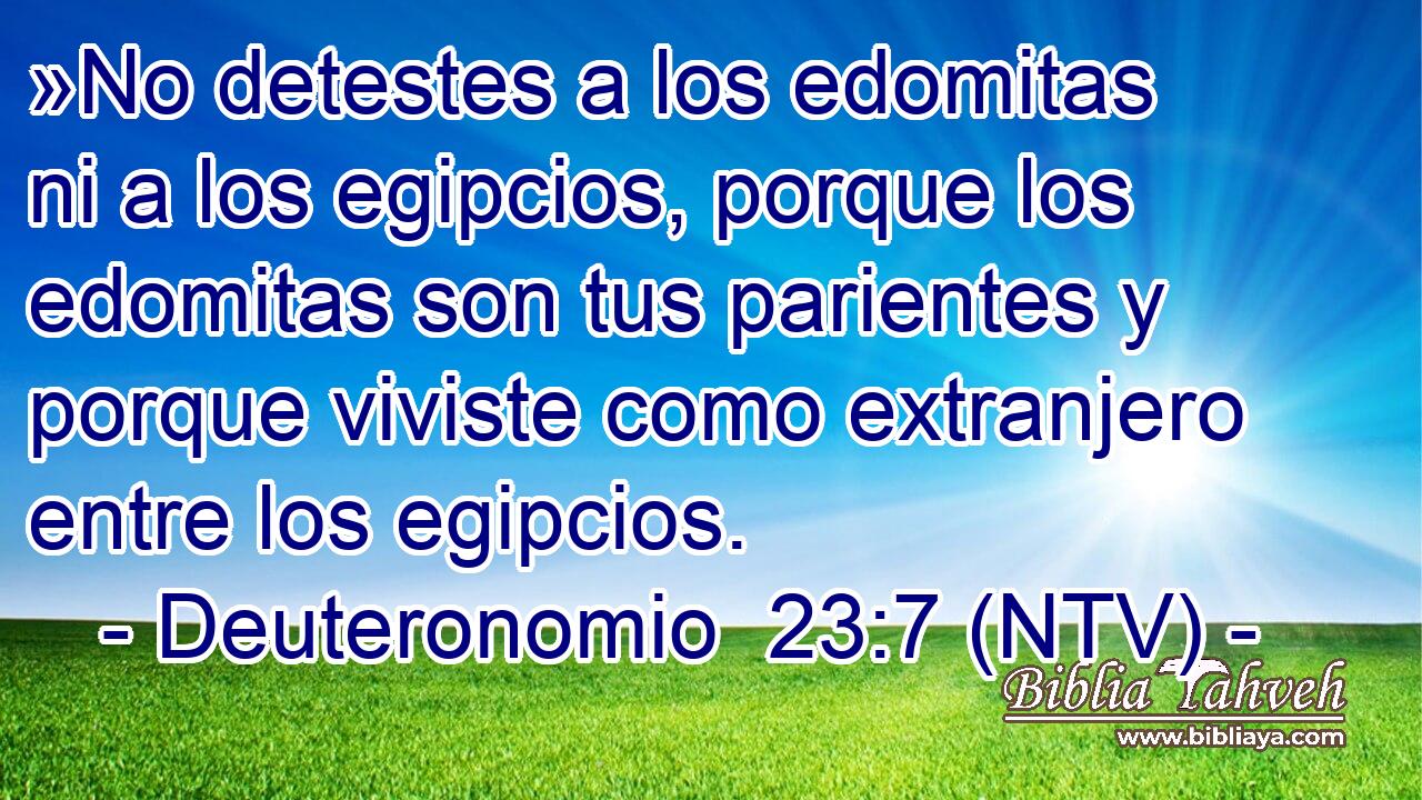 »No detestes a los edomitas ni a los egipcios, porque los edomitas son tus parientes y porque viviste como extranjero entre los egipcios.