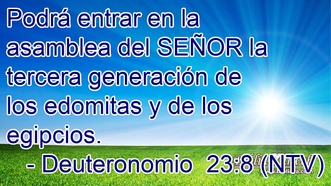 Podrá entrar en la asamblea del SEÑOR la tercera generación de los edomitas y de los egipcios.