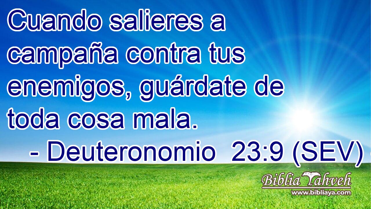 Cuando salieres a campaña contra tus enemigos, guárdate de toda cosa mala.