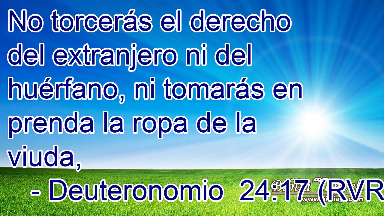 No torcerás el derecho del extranjero ni del huérfano, ni tomarás en prenda la ropa de la viuda,