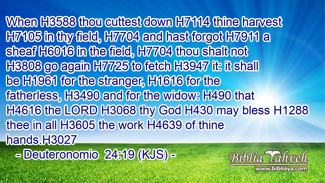 When H3588 thou cuttest down H7114 thine harvest H7105 in thy field, H7704 and hast forgot H7911 a sheaf H6016 in the field, H7704 thou shalt not H3808 go again H7725 to fetch H3947 it: it shall be H1961 for the stranger, H1616 for the fatherless, H3490 and for the widow: H490 that H4616 the LORD H3068 thy God H430 may bless H1288 thee in all H3605 the work H4639 of thine hands.H3027