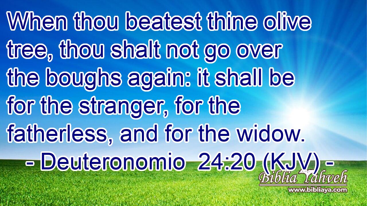 When thou beatest thine olive tree, thou shalt not go over the boughs again: it shall be for the stranger, for the fatherless, and for the widow.