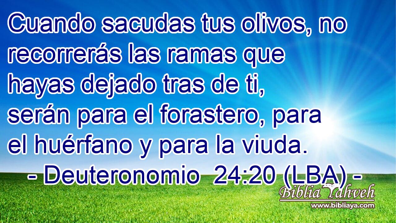 Cuando sacudas tus olivos, no recorrerás las ramas que hayas dejado tras de ti, serán para el forastero, para el huérfano y para la viuda.