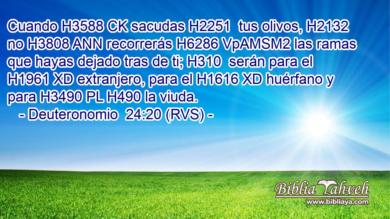 Cuando H3588 CK sacudas H2251  tus olivos, H2132  no H3808 ANN recorrerás H6286 VpAMSM2 las ramas que hayas dejado tras de ti; H310  serán para el H1961 XD extranjero, para el H1616 XD huérfano y para H3490 PL H490 la viuda. 