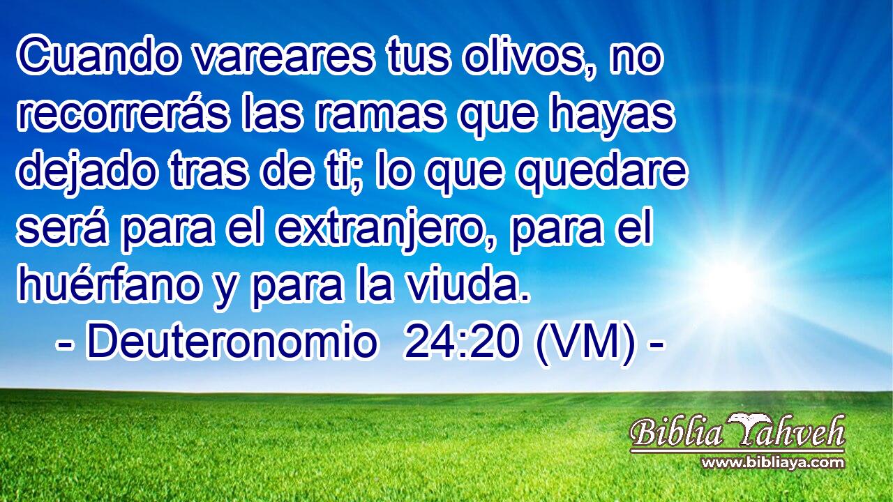  Cuando vareares tus olivos, no recorrerás las ramas que hayas dejado tras de ti; lo que quedare será para el extranjero, para el huérfano y para la viuda. 